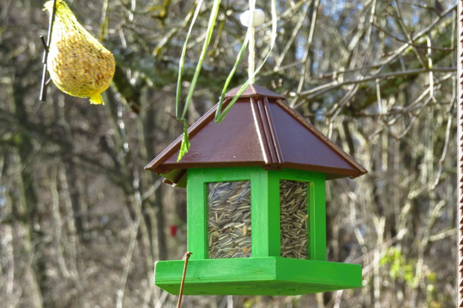 vogelfutter_kaufen_