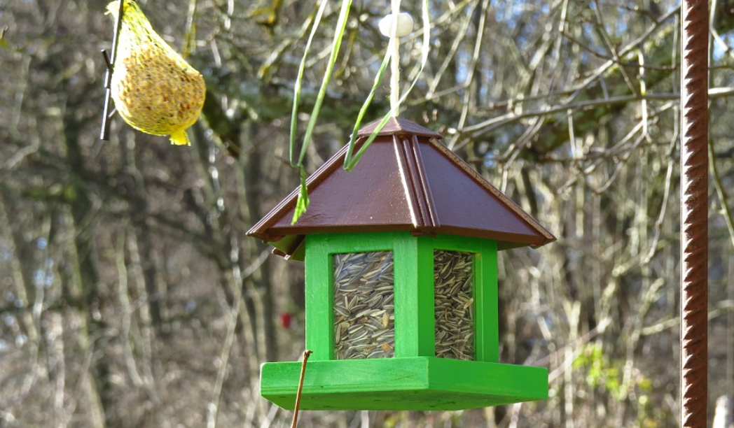 vogelfutter_kaufen_